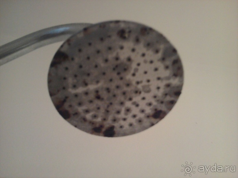 фото Ambassador Chennai