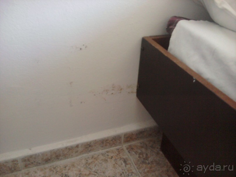 фото Ambassador Chennai