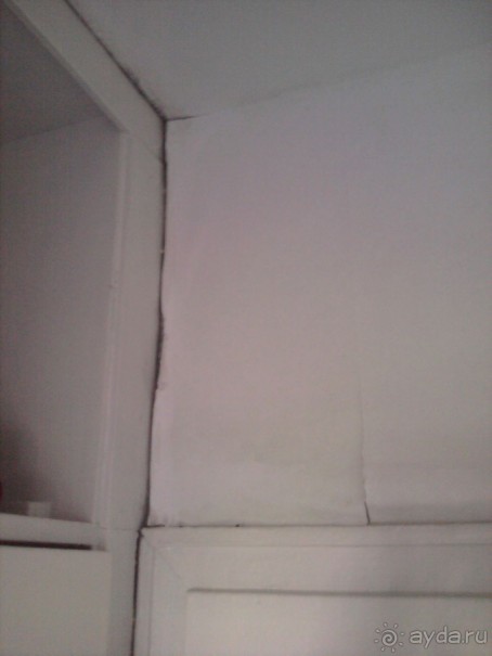 фото Ambassador Chennai