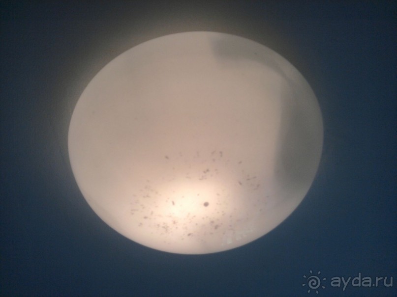 фото Ambassador Chennai