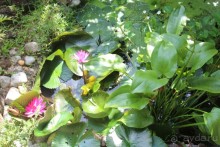 Удивительный отдых!!!!