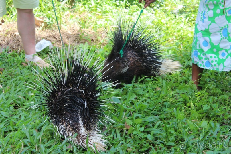 Удивительный отдых!!!!