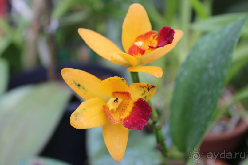 Удивительный отдых!!!!