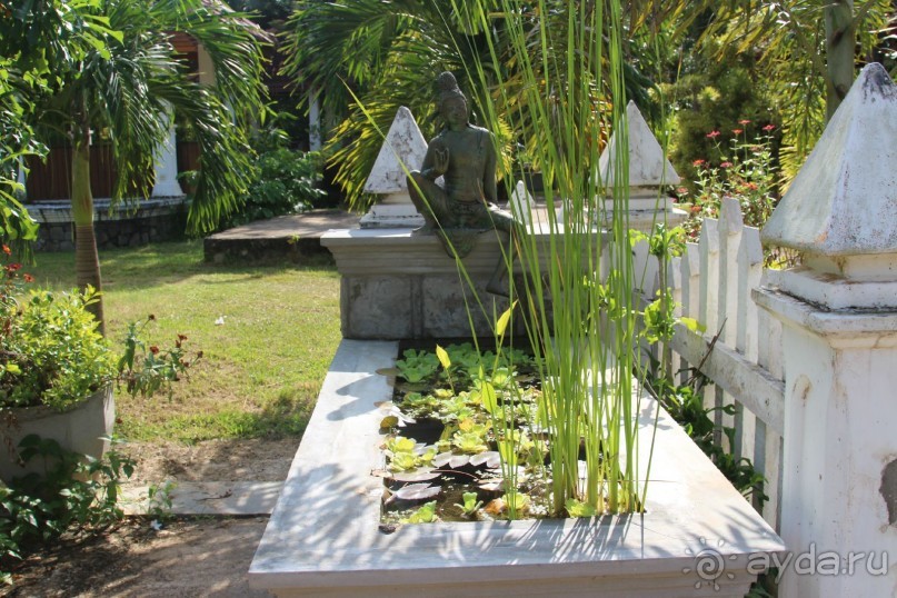 Удивительный отдых!!!!