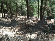 Путешествие на остров Крит или экзотика средиземноморья.