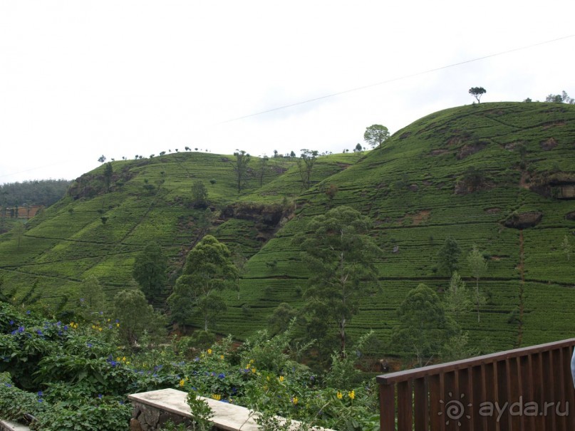 Шри-Ланка двумя парами глаз.