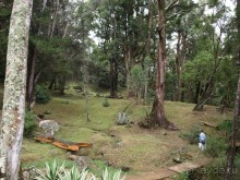 Шри-Ланка двумя парами глаз.