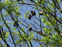 Шри-Ланка двумя парами глаз.