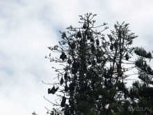 Шри-Ланка двумя парами глаз.