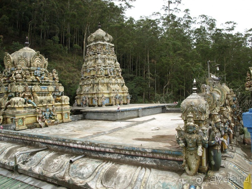 Шри-Ланка двумя парами глаз.