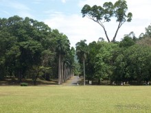 Шри-Ланка двумя парами глаз.