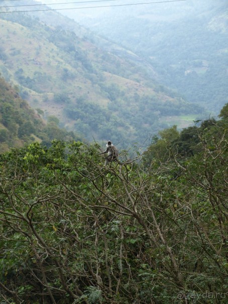 Шри-Ланка двумя парами глаз.