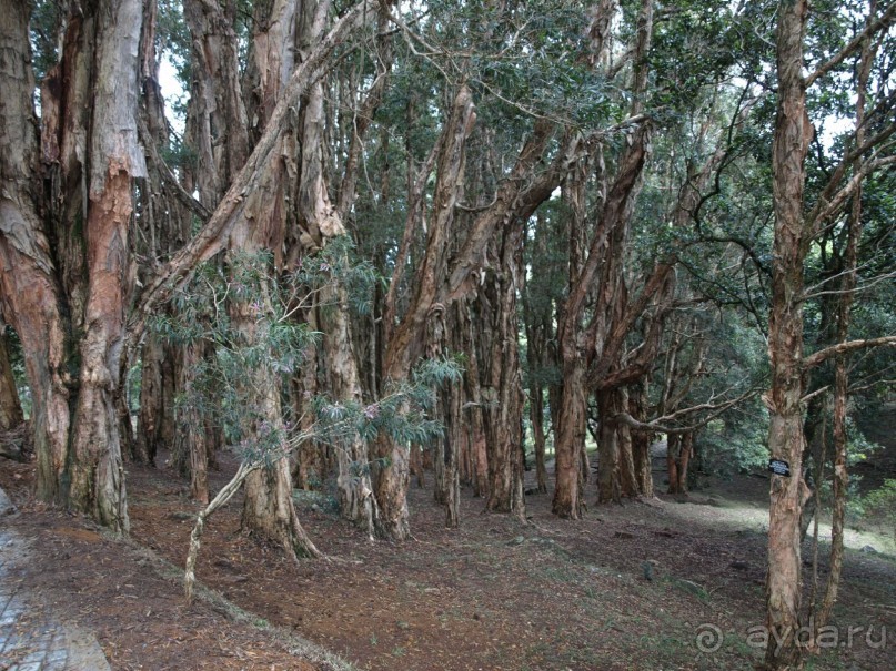 Шри-Ланка двумя парами глаз.