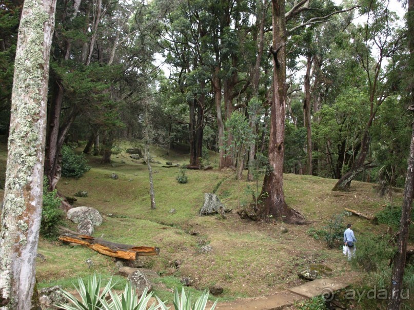 Шри-Ланка двумя парами глаз.