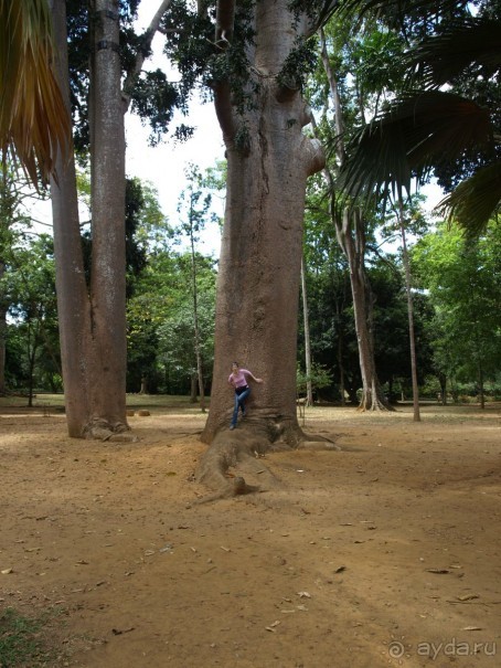 Шри-Ланка двумя парами глаз.