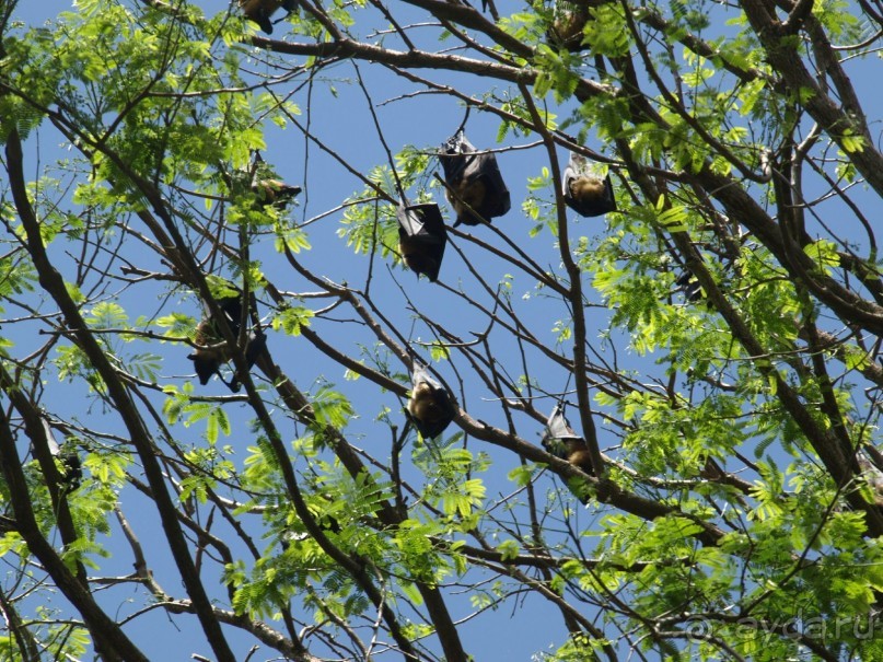 Шри-Ланка двумя парами глаз.