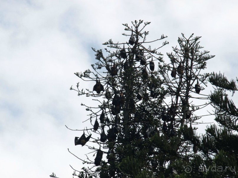 Шри-Ланка двумя парами глаз.