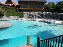 Буэнос диас, Испания! или вояж Барселона-Тенерифе.