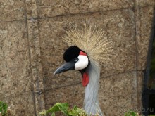 Буэнос диас, Испания! или вояж Барселона-Тенерифе.