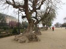 Буэнос диас, Испания! или вояж Барселона-Тенерифе.