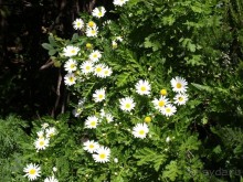 Буэнос диас, Испания! или вояж Барселона-Тенерифе.