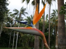 Буэнос диас, Испания! или вояж Барселона-Тенерифе.