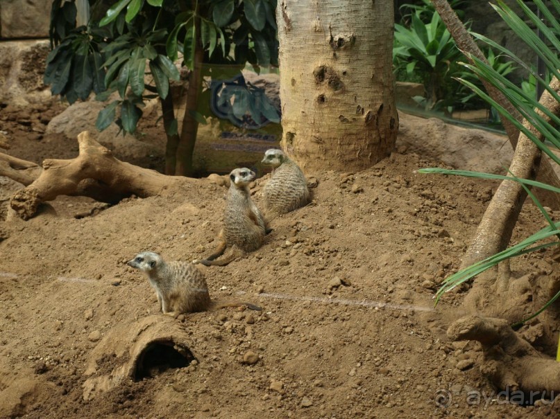 Буэнос диас, Испания! или вояж Барселона-Тенерифе.