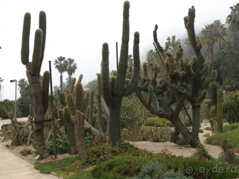 Буэнос диас, Испания! или вояж Барселона-Тенерифе.