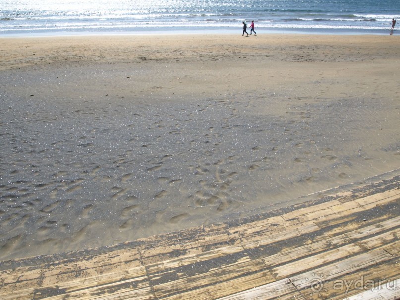 Буэнос диас, Испания! или вояж Барселона-Тенерифе.