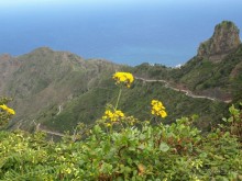 Буэнос диас, Испания! или вояж Барселона-Тенерифе.