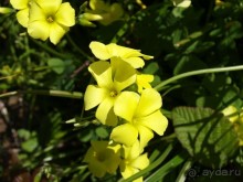 Буэнос диас, Испания! или вояж Барселона-Тенерифе.