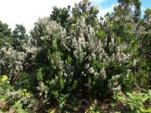 Буэнос диас, Испания! или вояж Барселона-Тенерифе.