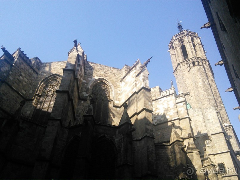 Буэнос диас, Испания! или вояж Барселона-Тенерифе.