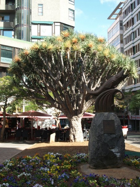 Буэнос диас, Испания! или вояж Барселона-Тенерифе.