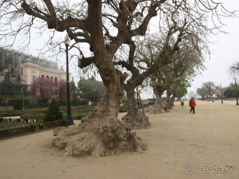 Буэнос диас, Испания! или вояж Барселона-Тенерифе.