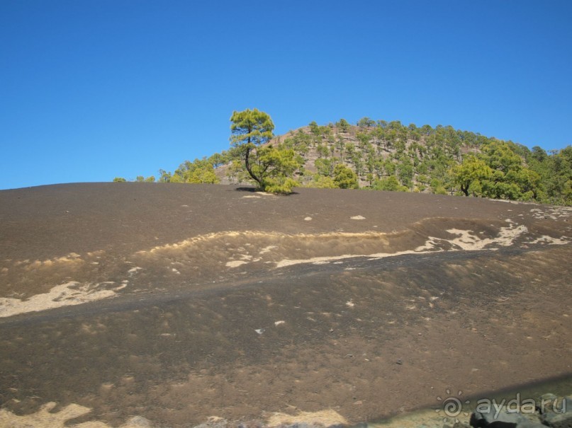 Буэнос диас, Испания! или вояж Барселона-Тенерифе.