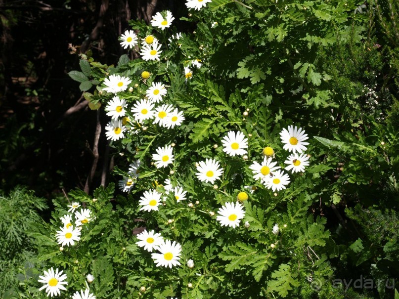 Буэнос диас, Испания! или вояж Барселона-Тенерифе.