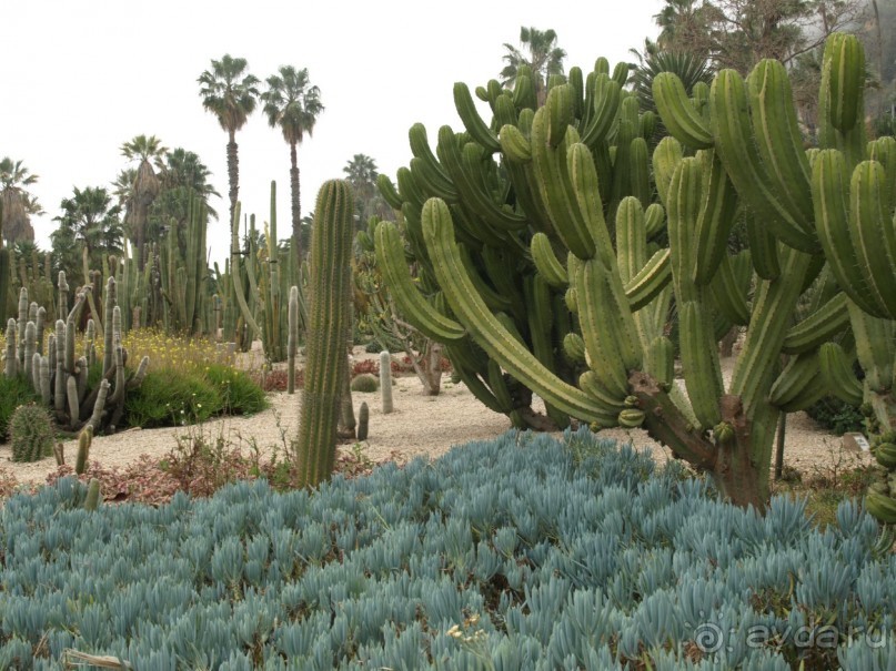 Буэнос диас, Испания! или вояж Барселона-Тенерифе.