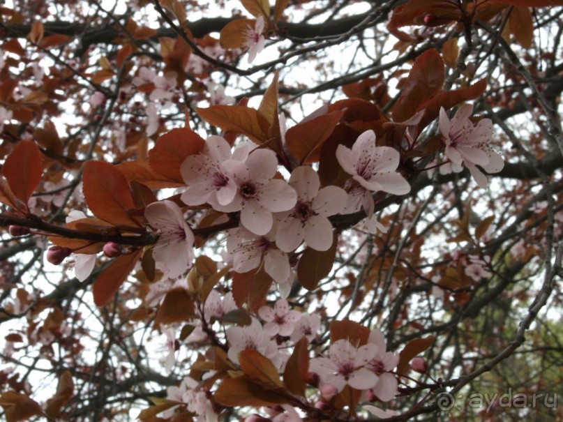 Буэнос диас, Испания! или вояж Барселона-Тенерифе.