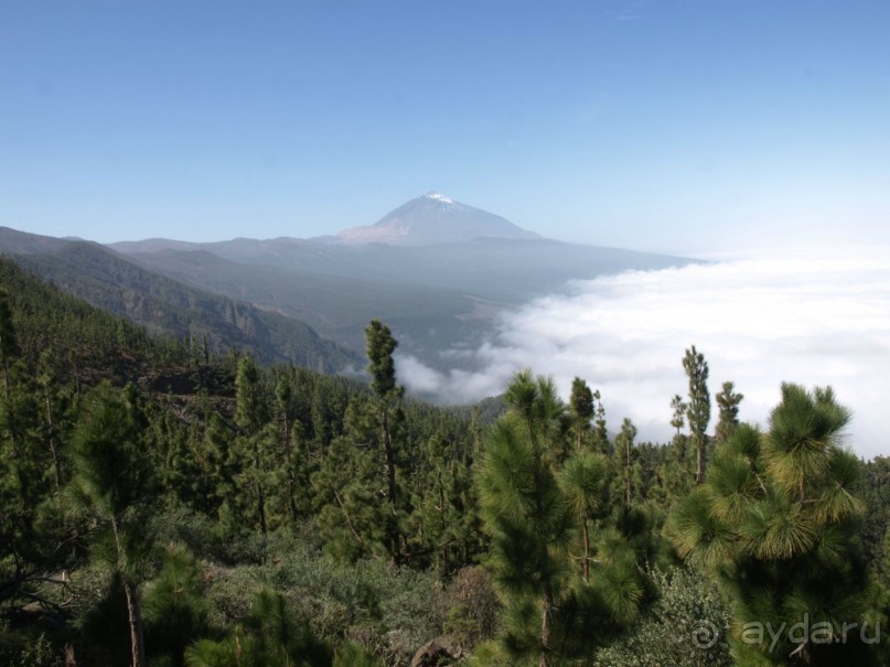 Буэнос диас, Испания! или вояж Барселона-Тенерифе.