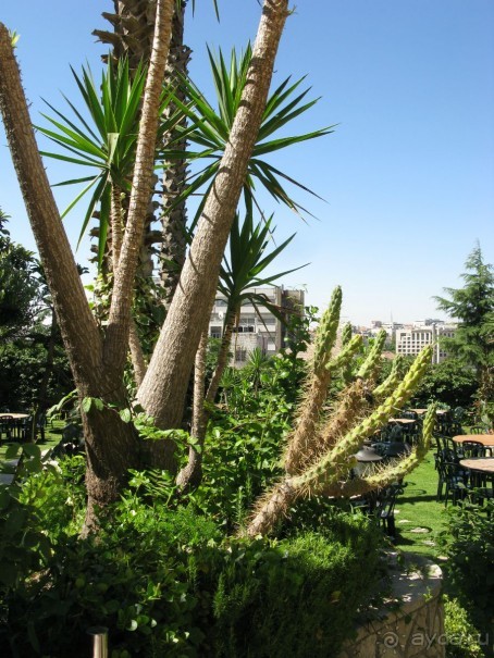 отель в восточном Иерусалиме