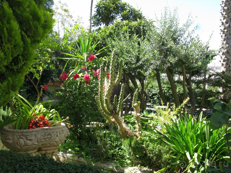 отель в восточном Иерусалиме