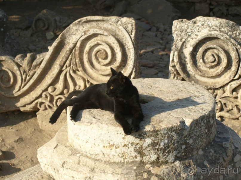 Эгейское побережье Турции и Стамбул