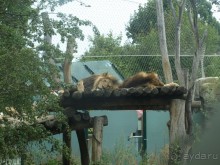 Путешествие по Австро-Венгрии.