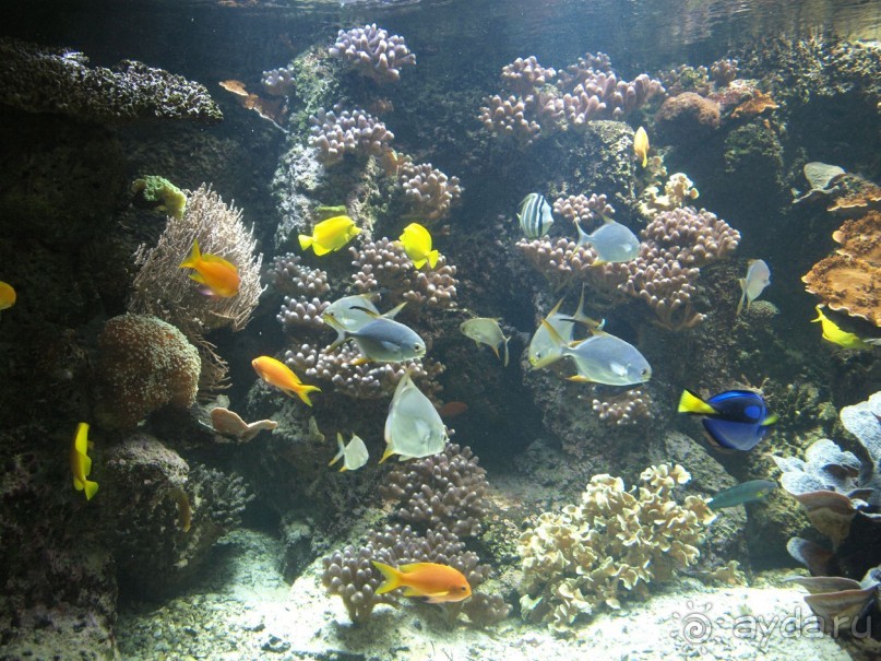 Путешествие по Австро-Венгрии.