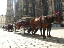 Путешествие по Австро-Венгрии.