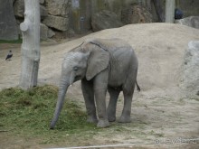 Путешествие по Австро-Венгрии.