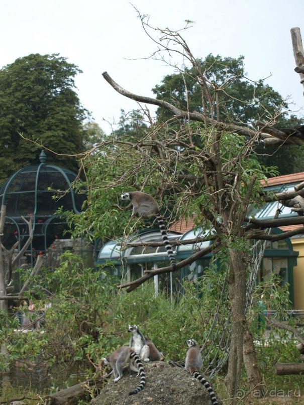 Путешествие по Австро-Венгрии.