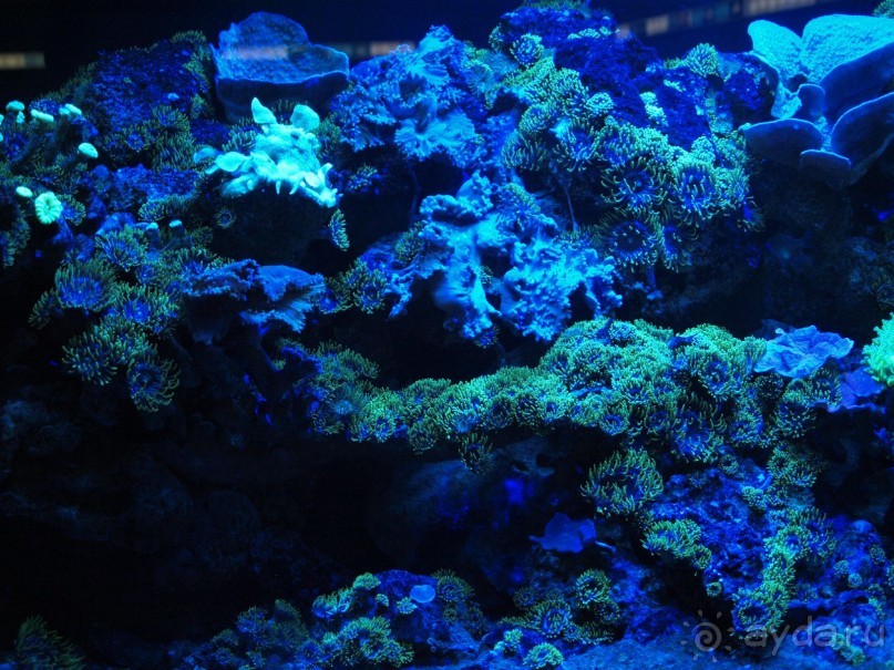 Путешествие по Австро-Венгрии.