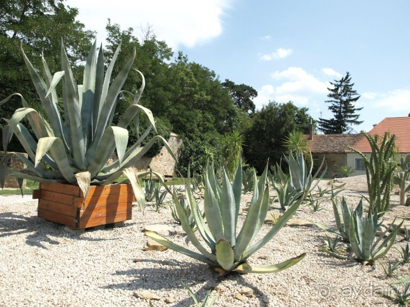Альбом отзыва "Путешествие по Австро-Венгрии."